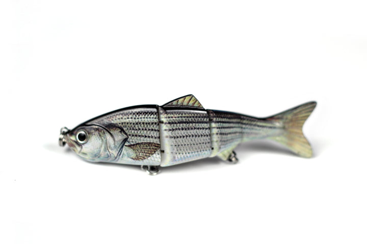 Live Motion Swimbait (5-inch)