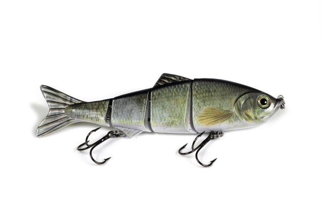 Live Motion Swimbait (6-Inch)