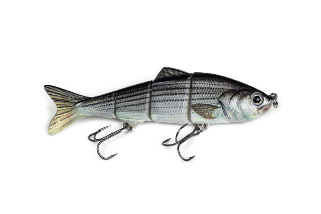 Live Motion Swimbait (5-inch)