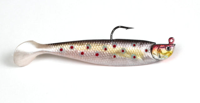 Paddle Tail Minnow