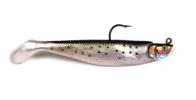 Paddle Tail Minnow