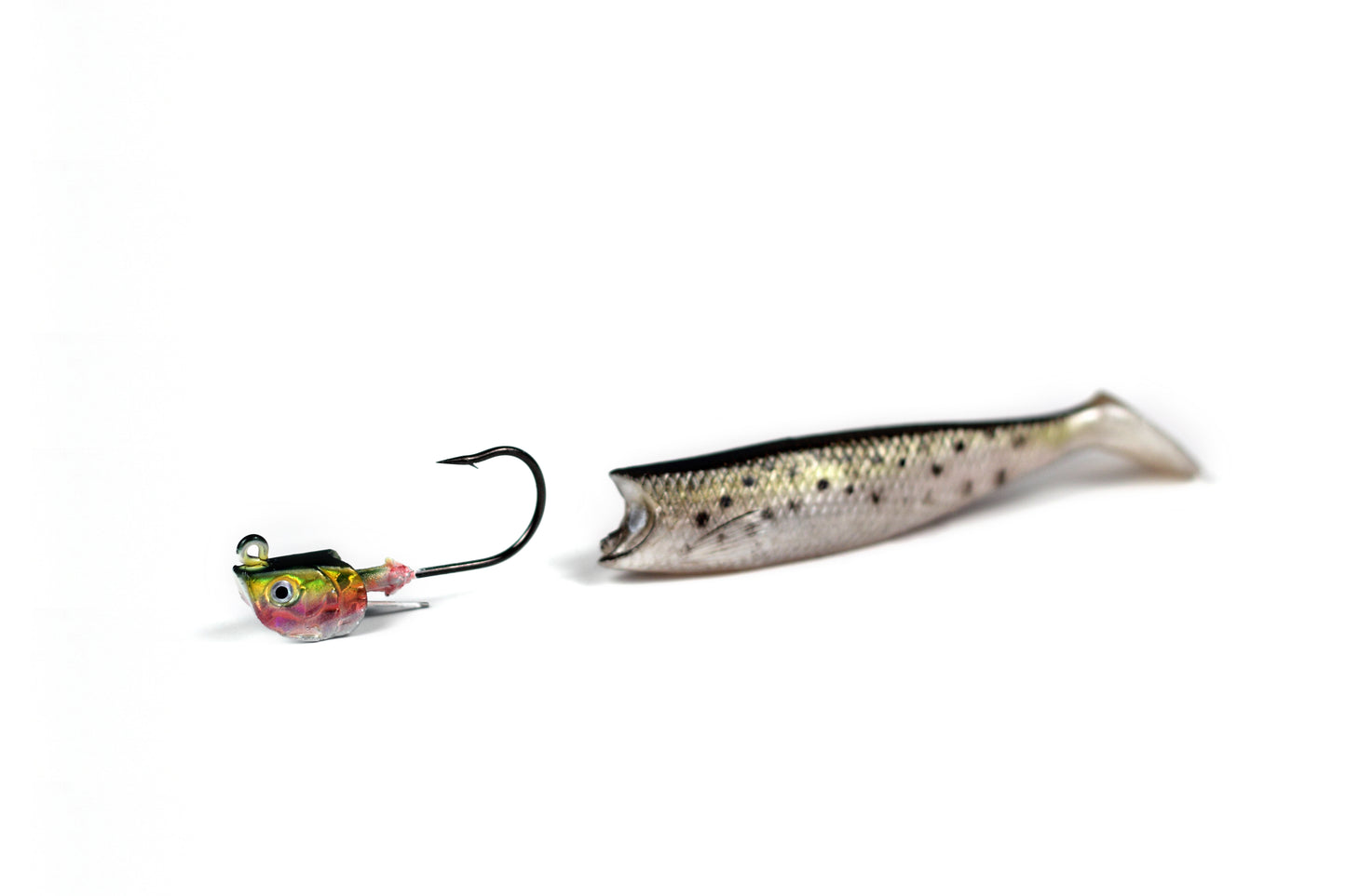 Paddle Tail Minnow