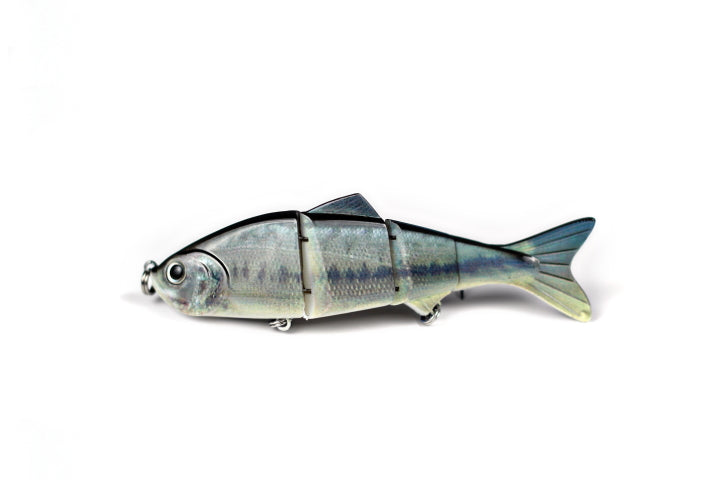 Live Motion Swimbait (5-inch)