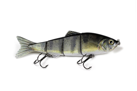 Live Motion Swimbait (6-Inch)