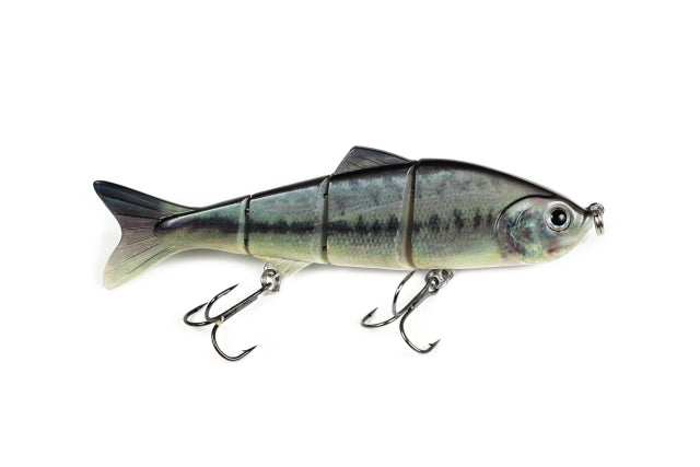 Live Motion Swimbait (5-inch)