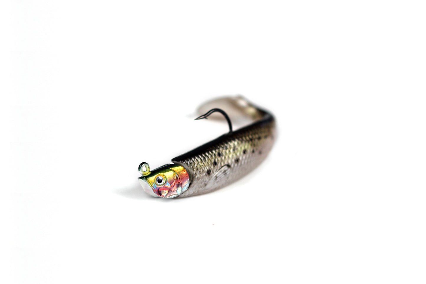 Paddle Tail Minnow